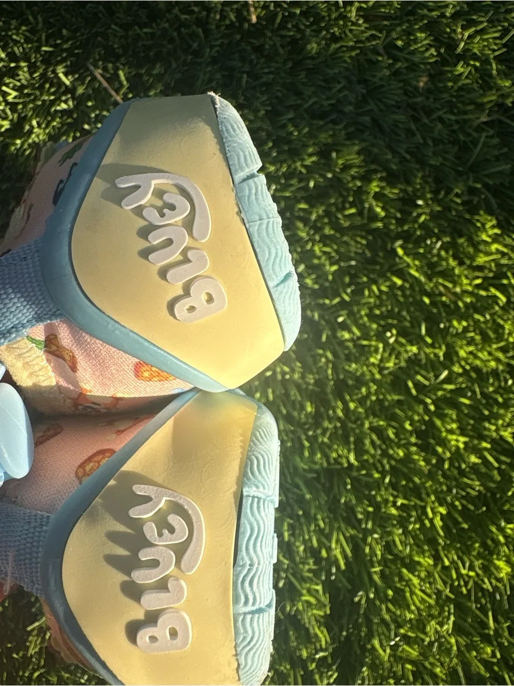 Bluey slippers and shoes size 5/6 toddler